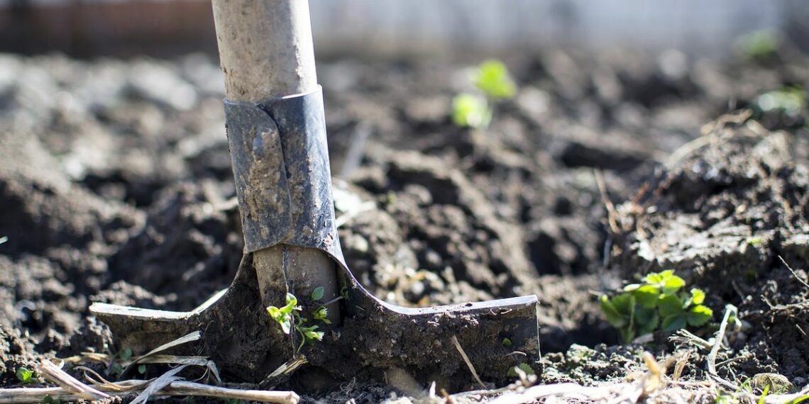Що робити, аби земля не прилипала до лопати