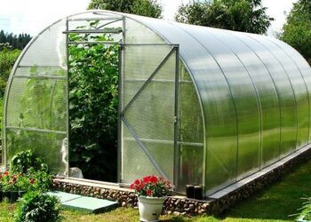 Теплицю треба провітрювати