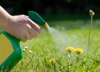 Чому не діють гербіциди?