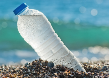 Мікропластик у… нашому організмі