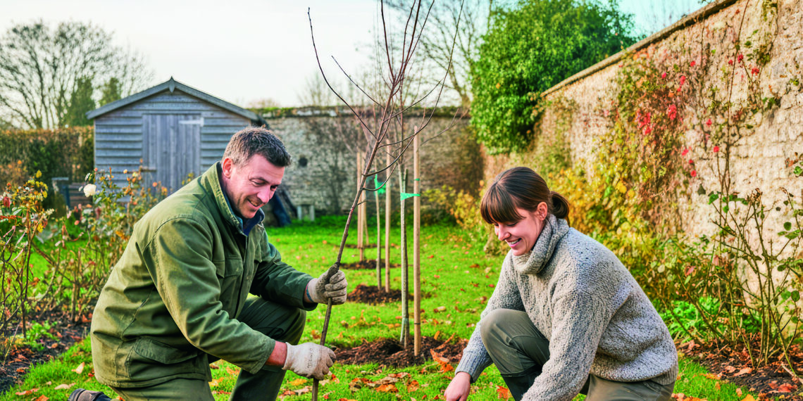 Листопад на городі, в саду та квітнику