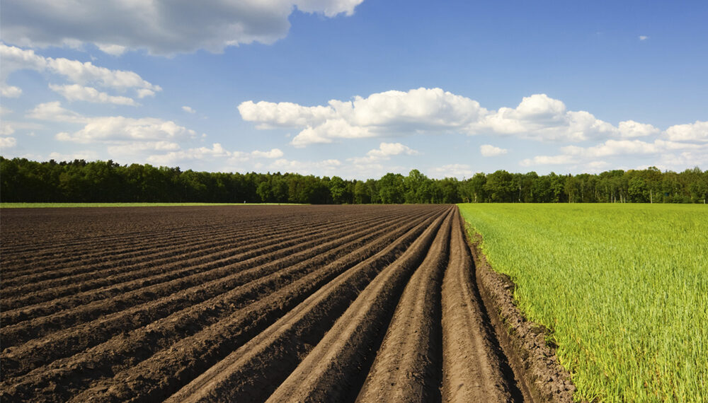 Спадкування паю