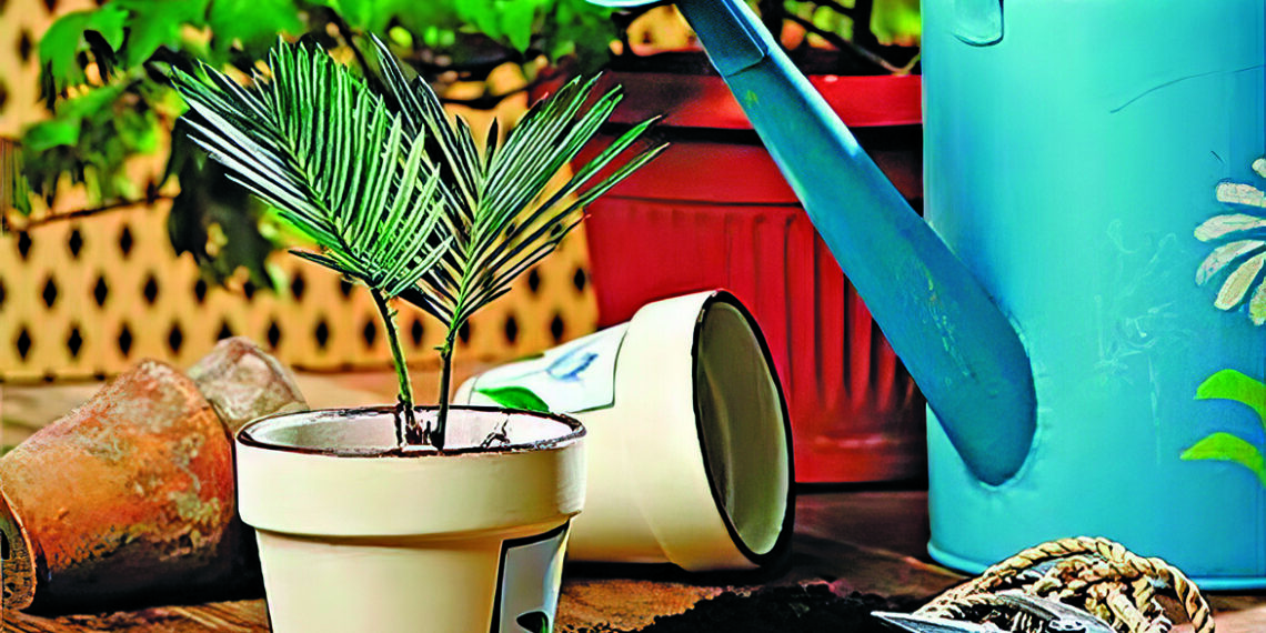 Готуємо вазони до відпочинку