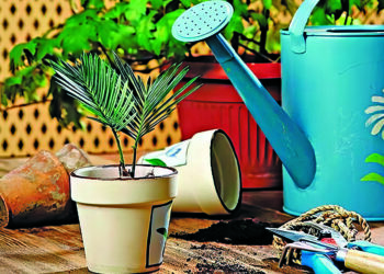 Готуємо вазони до відпочинку