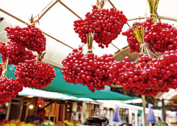 Калину зберігають у кетягах