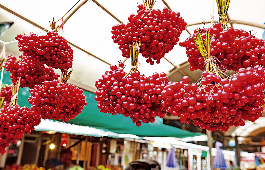 Калину зберігають у кетягах