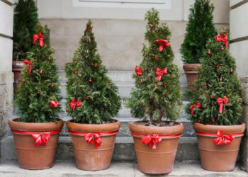 І прибрати, і настрій тримати