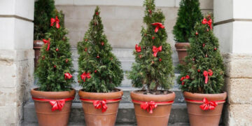 І прибрати, і настрій тримати