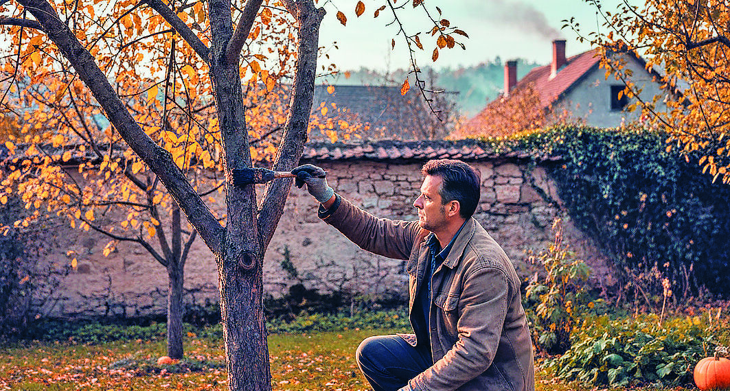 Чим замінити садовий вар