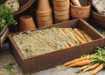 Підмерзлу моркву не розморожують