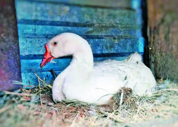 Кому корисні гарячі ванни?