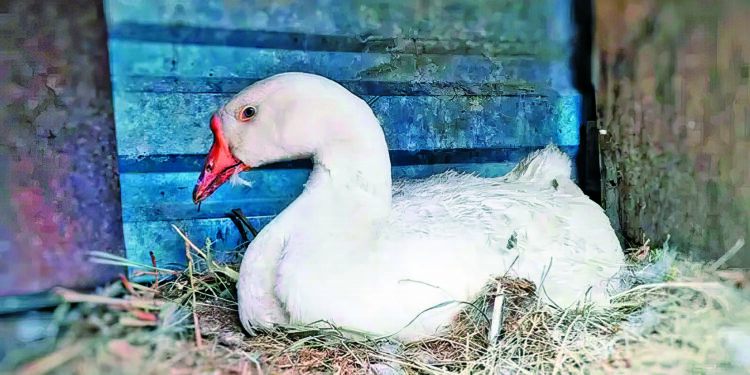 Кому корисні гарячі ванни?