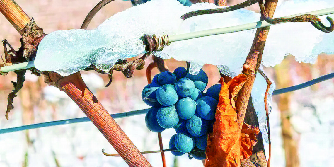 Трудові гарантії ветеранів