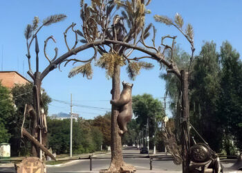 Символи міст наших: ведмідь – від півночі до Криму