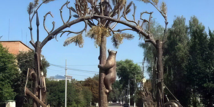 Символи міст наших: ведмідь – від півночі до Криму