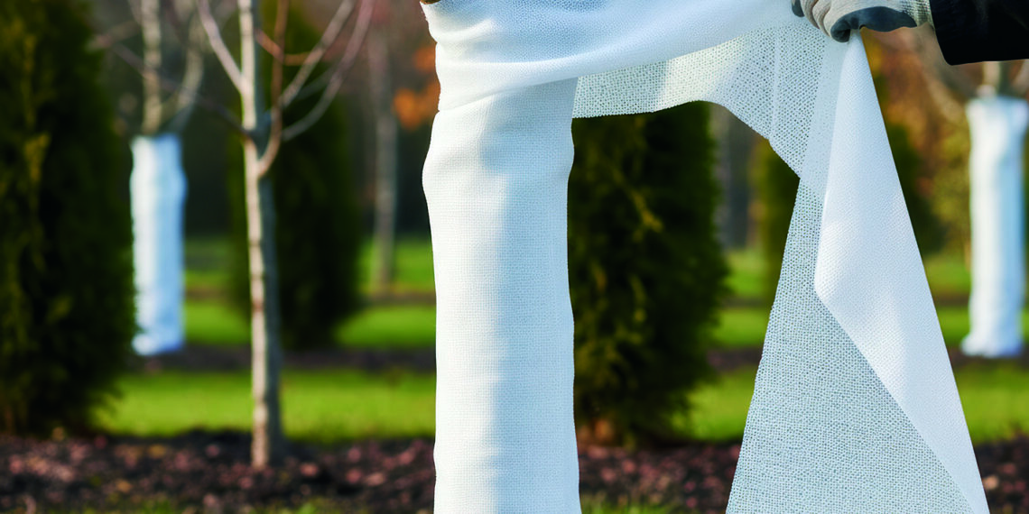 Замість побілки — одежинка