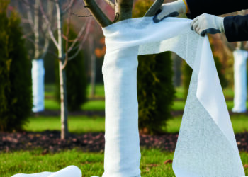 Замість побілки — одежинка