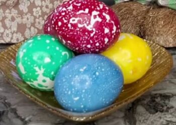 Сирна паска в шоколадному корпусі (кокосово-полунична)