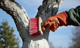 Встигнути до Великодня