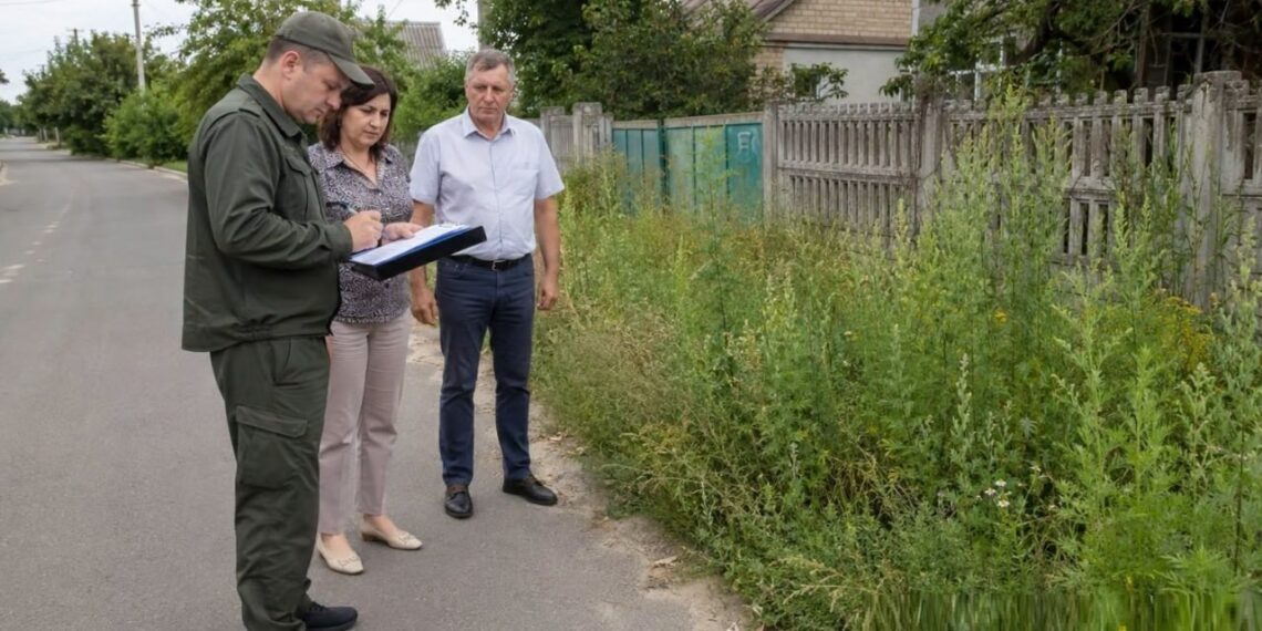 Серпень на городі, в саду та квітнику