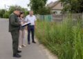 Серпень на городі, в саду та квітнику