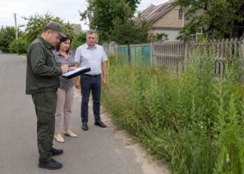 Серпень на городі, в саду та квітнику
