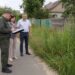 Серпень на городі, в саду та квітнику