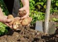 Нові категорії заяв у міжнародному Реєстрі збитків