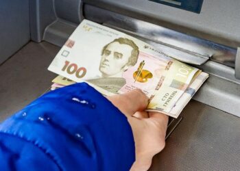 «Зимову підтримку» витрачають на власний розсуд