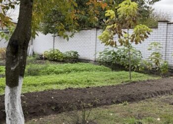 10 запитань про осіннє вапнування